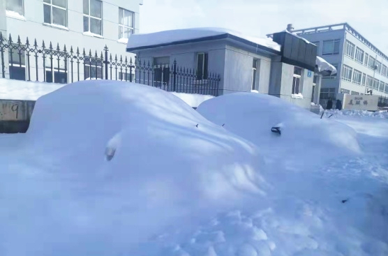 211109 - 暴雪后的尊龙人生就是博首页工厂门口_副本.jpg